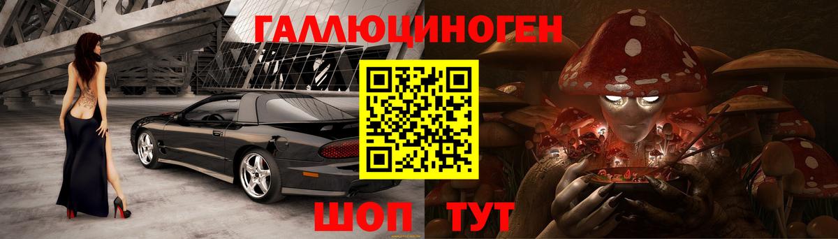 Галлюциногенные грибы прущие грибы  Вход с VPN  Галлюциногенные грибы Psilocybe  Камышлов 
